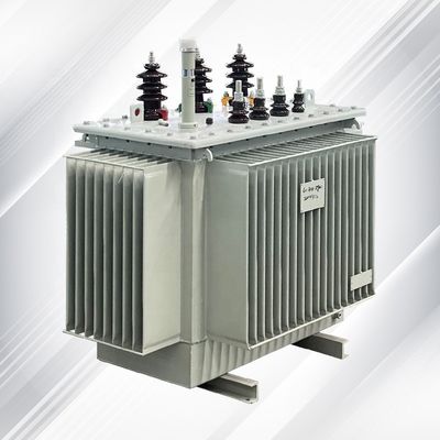 160 kVA 10-11/0.4kv محول 3 مراحل مع معيار IEC / GB ورقم 2 لفائف